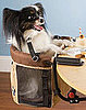Pet High Chair: Spoiled Sweet or Spoiled Rotten?
