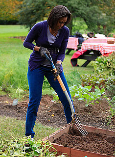 Video: White House Garden Expanding This Spring