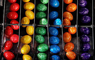 SAT Scores and Egg Donors