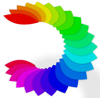 How to Your Wedding Color Palette