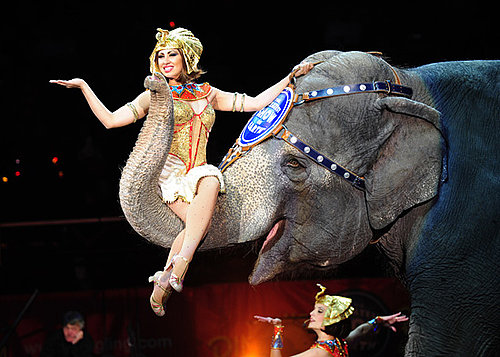 Tips to Prepare a Child For the Circus