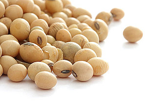 Which Vegetarian Items Are Soy Products?