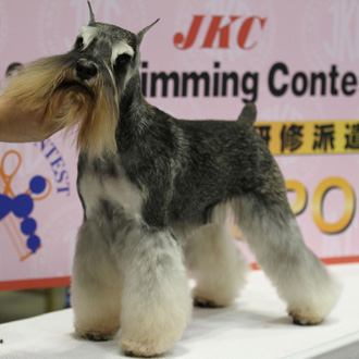 Image Image