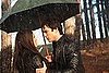 The Vampire Diaries Debate About Elena and Damon's Relationship