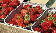 Strawberry Prices Expected to Drop Dramatically Strawberry Prices Expected to Drop Dramatically