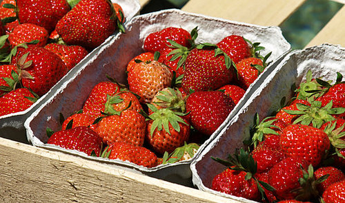 Strawberry Prices Expected to Drop Dramatically