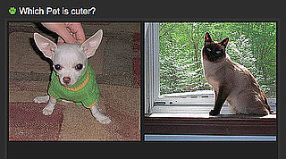 Which Pet Is Cuter Game