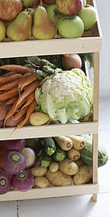 Eating Fruits and Veggies Doesn't Prevent Cancer Eating Fruits and Veggies Doesn't Prevent Cancer