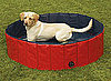 Dog Pool: Spoiled Sweet or Spoiled Rotten?