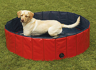 Buy a Portable Pool For Dogs