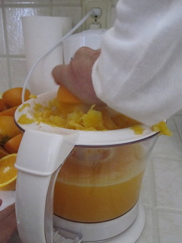 Do You Own an Electric Juicer?