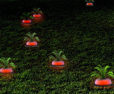 Solar Radish Garden Lights