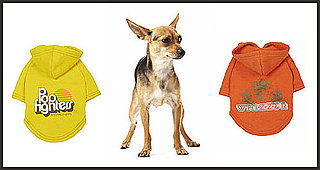 Music T-Shirts For Dogs