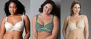 New Lane Bryant Plus-Size Lingerie Ad Rejected by TV Networks