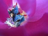 Swimming in a Tulip
