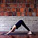 Downward Facing Dog