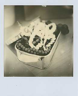Monochrome First Flush Polaroid Film From The Impossible Project