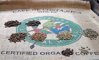 Photos of Starbucks Coffee Roasting Plant Tour