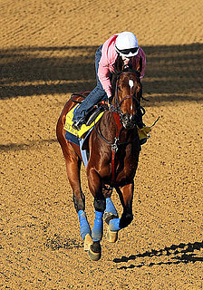 Decoration Ideas For a Kentucky Derby Party