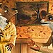 Felicity, Fantastic Mr. Fox