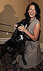 Katherine Heigl and Her Dog, Apollo