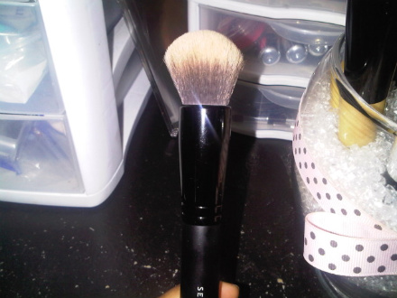 Sephora Professonial Mineral Powder Brush #45