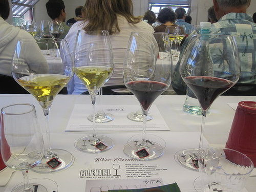 Our four glasses, ready to be tasted.
Our four glasses, ready to be tasted.