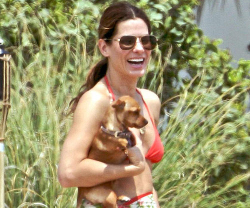 Sandra Bullock Sandra Bullock
