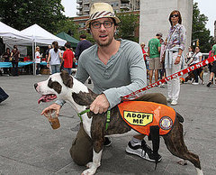 Pictures of Zach Braff at Adoptapalooza in NYC Pictures of Zach Braff at Adoptapalooza in NYC
