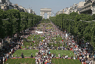 Pictures of Champs Elysees as Giant Garden