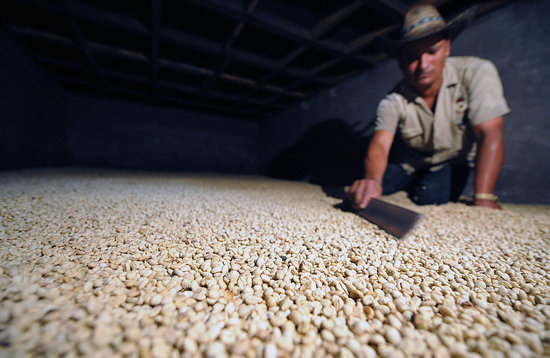 Semi-washed processing is a third method. Semi-washed processing is a third method.