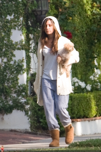 Walking around in Toluca Lake with Maui