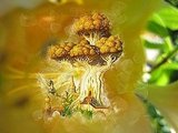 Tree of Life