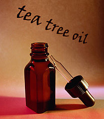 Tea Tree Oil Quiz Tea Tree Oil Quiz