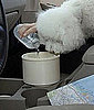 Travel Water Bowls For Dogs