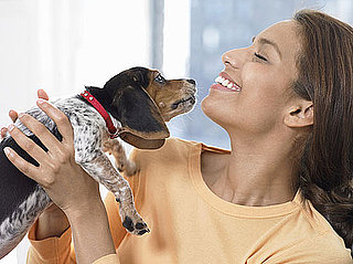 Pets and Perfume