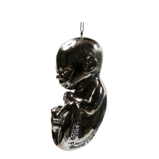 Fetus Items to Celebrate Pregnancy