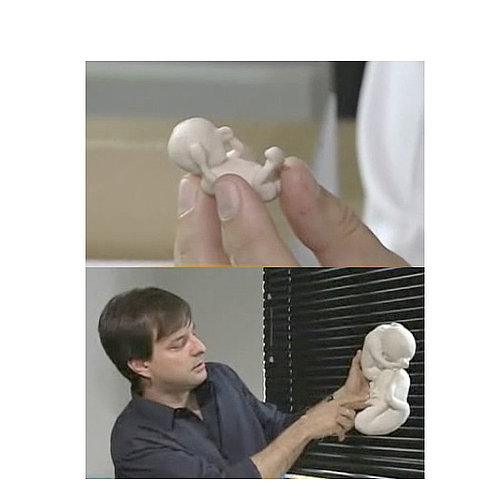 Fetus Mold: Cute or Creepy? Fetus Mold: Cute or Creepy?