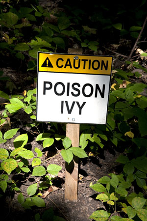 Baking Soda Relieves Itch of Poison Ivy, Poison Oak, and Poison Sumac