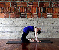 Camel Variation