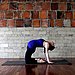 Camel Variation