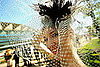 Royal Ascot