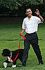 15 Sweet Celebrity Pet Dads and Other Pet Links