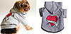 Dad-Themed Pet Gear: Spoiled Sweet or Spoiled Rotten?