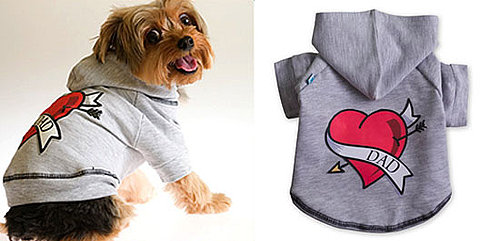 Dad-Themed Pet Gear: Spoiled Sweet or Spoiled Rotten?