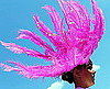 News Quiz For Week of 6/13- 6/19