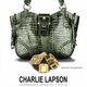 The Intern Diaries at Charlie Lapson Group's picture