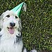 How About Birthday Hats?