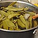 What Went Wrong With My English Pea Pod Stock? 