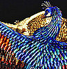Laurel Roth Peacocks Exhibition Pics